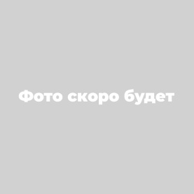 Тротуарная плитка Брусчатка 60 200х100 гранит белый